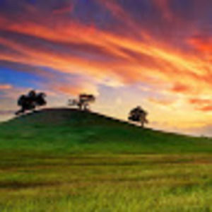 Meet your Posher, Lucy